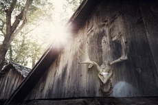 OORT-barn-and-antler