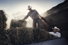OORT-hay-bales