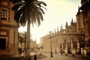 sevilla-warm-final-resized